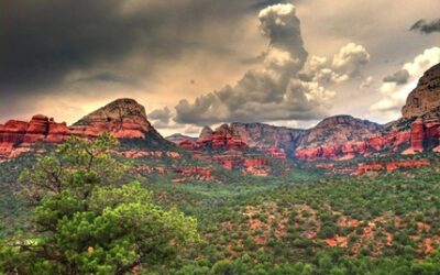 Wine Tours of Sedona – January 2023 Newsletter