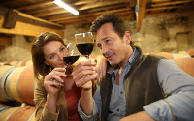 Tips for a Perfect Wine Tasting Tour
