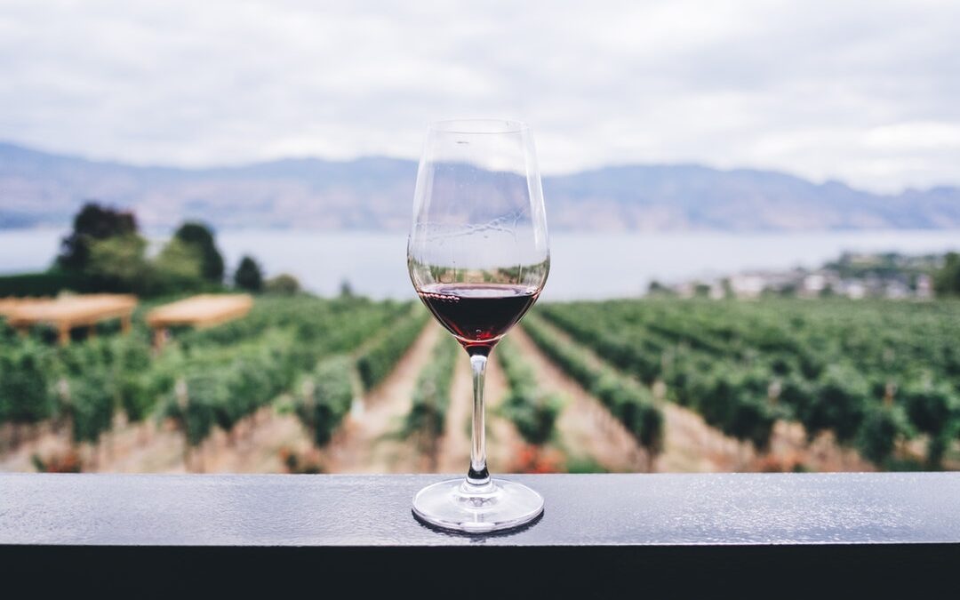 When Should You Plan Your Wine Tours in Sedona?